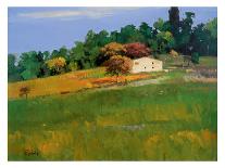 Tuscan Field II-Peter Fiore-Mounted Art Print