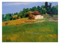 Tuscan Field II-Peter Fiore-Framed Stretched Canvas