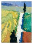 Tuscan Field II-Peter Fiore-Stretched Canvas