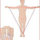 Asthma Pathology And Treatment, Diagram-Peter Gardiner-Photographic Print