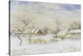 Stretched Canvas Print
