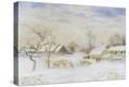 Stretched Canvas Print