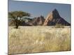 Photographic Print