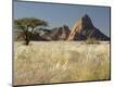 Photographic Print