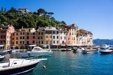 Vernazza, Cinque Terre, UNESCO World Heritage Site, Liguria, Italy, Europe-Peter Groenendijk-Photographic Print