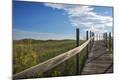 Photographic Print