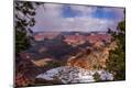 Photographic Print