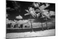 Photographic Print