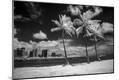 Premium Photographic Print
