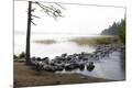 Photographic Print