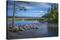 Stretched Canvas Print