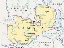 Zambia Political Map-Peter Hermes Furian-Art Print
