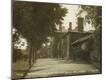 Photographic Print