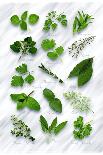 Various Herbs on Marble-Peter Howard Smith-Photographic Print