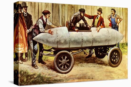 Stretched Canvas Print, , large