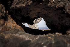 Rocks on the beach, Cap de Creus, Costa Brava, Catalonia, Spain-Peter Kreil-Photographic Print