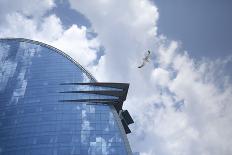 The hotel W of Barcelona, glass front, Catalonia, Spain-Peter Kreil-Photographic Print