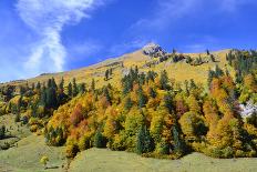 Austria, Tyrol, Autumn-Peter Lehner-Framed Photographic Print