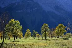 Austria, Tyrol, Autumn-Peter Lehner-Photographic Print
