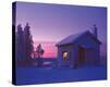 Stretched Canvas Print