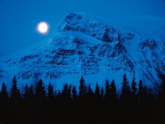 Photographic Print, , large