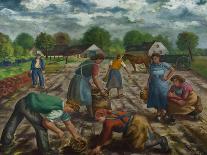 Potato Harvest, 1941-Peter Ludwigs-Giclee Print