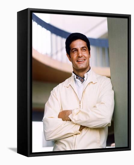 Peter Lupus-null-Framed Stretched Canvas