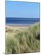 Premium Photographic Print