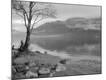 Photographic Print