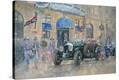 Stretched Canvas Print