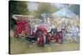 Stretched Canvas Print