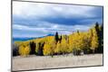 Photographic Print