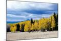 Photographic Print