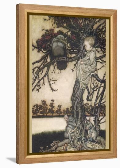 Peter Pan and Solomon Caw-Arthur Rackham-Framed Premier Image Canvas