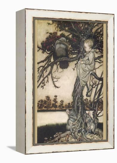 Peter Pan and Solomon Caw-Arthur Rackham-Framed Premier Image Canvas