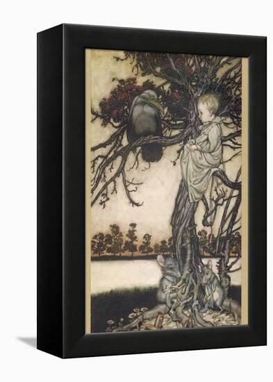 Peter Pan and Solomon Caw-Arthur Rackham-Framed Premier Image Canvas