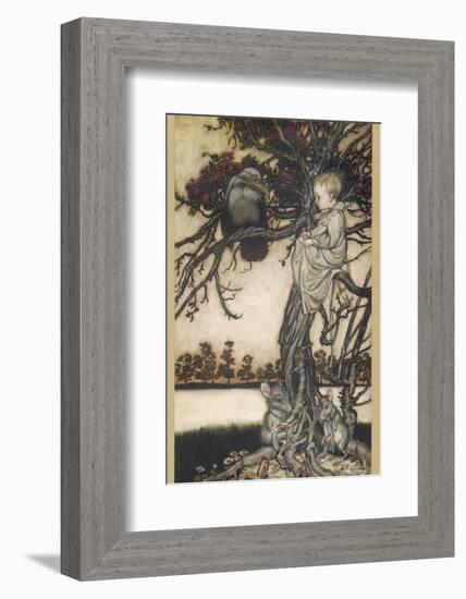 Peter Pan and Solomon Caw-Arthur Rackham-Framed Photographic Print