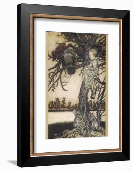 Peter Pan and Solomon Caw-Arthur Rackham-Framed Photographic Print