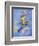 Peter Pan-Judy Mastrangelo-Framed Giclee Print