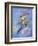 Peter Pan-Judy Mastrangelo-Framed Giclee Print