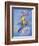 Peter Pan-Judy Mastrangelo-Framed Giclee Print