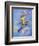 Peter Pan-Judy Mastrangelo-Framed Giclee Print