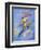 Peter Pan-Judy Mastrangelo-Framed Giclee Print