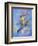 Peter Pan-Judy Mastrangelo-Framed Giclee Print