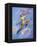 Peter Pan-Judy Mastrangelo-Framed Premier Image Canvas