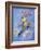 Peter Pan-Judy Mastrangelo-Framed Giclee Print