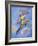 Peter Pan-Judy Mastrangelo-Framed Giclee Print