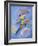 Peter Pan-Judy Mastrangelo-Framed Giclee Print