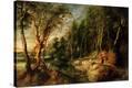 Stretched Canvas Print