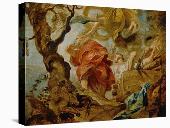 Stretched Canvas Print, , large